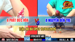 Trận 40 Bồ CPC3 12/3/2026 - Đỏ Đá Chân Nào Cũng Đâm Xanh Xỉu Trên Tay