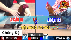 Trận 40 Bồ CPC3 3/3/2026 - Đỏ Tránh Né Đâm Xanh Xỉu Lên Lớp Thành Công