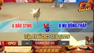 Trận 41 Bồ CPC2 13/3/2026 - Nu Đồng Tháp Hạ Bảo Sting Phút 90 Đầy Hấp Dẫn