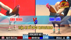 Trận 41 Bồ CPC3 10/3/2026 - 2 Con QUá Trâu Gồng Phút 90 Bỏ Mặt Hòa