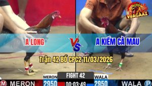 Trận 42 Bồ CPC2 11/3/2026 - Xanh Buông Nạp Siết Đâm Đỏ Hư Hình Nhanh Gọn