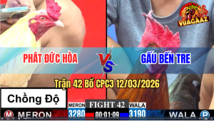 Trận 42 Bồ CPC3 12/3/2026 - Uá CỌP chồng Độ Vẫn Đâm Đối Thủ Hư Hình