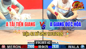 Trận 42 Bồ CPC3 17/3/2026 - Đỏ Đá Như Giỡn Chơi Vẫn Lụm Nhanh Lẹ