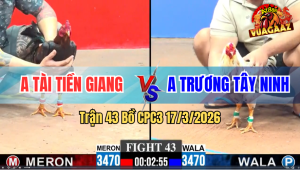 Trận 43 Bồ CPC3 17/3/2026 - Trương Tây Ninh Chấm Dứt Chuỗi Thắng Của Anh Tài
