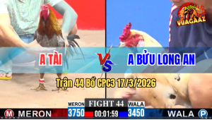 Trận 44 Bồ CPC3 17/3/2026 - Xanh Chấp 3 Chấm Vẫn Thắng Một Cách Tuyệt Đối