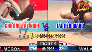 TRẬN 5 CPC3 03/3/2026