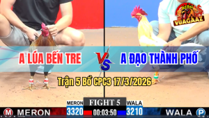Trận 5 Bồ CPC3 17/3/2026 - Đỏ Đá Chân Nào Cũng Đâm Hạ Gà Xanh Nhanh Gọn