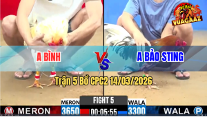 Trận 5 Bồ CPC2 14/3/2026 - Xám Cop Chấp Sâu Siết Mấy Chân Đâm Bướm Xỉu Tại Chỗ