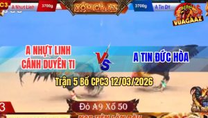 Trận 5 Bồ CPC3 12/3/2026 - Điều Duyên Ti Đá Còn Ăn 2 Xong Bị Đá Phản Bỏ Chạy Bất Ngờ