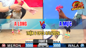 Trận 6 Bồ CPC2 4/3/2026 - Que Nhập Vô Đá Như Xe Đung Đâm Xám Gãy Chân