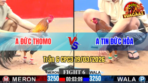 Trận 6 Bồ CPC3 19/3/3026 - Xanh Đá Chân Nào Cũng Đâm Chỉ Tay Nước Đầu Là Có Kết Quả