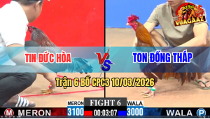 Trận 6 Bồ CPC3 10/3/2026 - Khét Đá Nào Cũng Đâm Que Chết Tại Ô