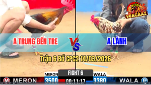 Trận 6 Bồ CPC2 14/3/2026 - Điều Dí Bạc Ăn 6 Buông Ra Bồng Đá Cái Đầu Chảy Máu