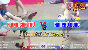 Trận 6 Bồ Xà Xía 15/3/2026 - Xanh Ra Toàn Cựa Khủng Hạ Đỏ Nhanh Gọn