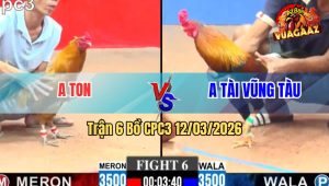 Trận 6 Bồ CPC3 12/3/2026 - Điều Nhấp 2 Chân Đâm Khét Sụm Tỳ