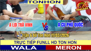 Trận 6 Bồ Ton Hon 11/3/2026 - Bướm Chồng Độ Đá Chân Như Búa Bổ Đá Đỏ Hư Hình