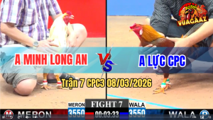 Trận 7 CPC3 8/3/2026 - Úa Mồng Lá Má Minh gặp Cọp Và Cái Kết