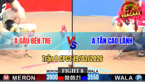 Trận 8 Bồ CPC3 19/3/3026 - Xanh Chấp Ngông Buông Ra Đá Đỏ Bung Bồ