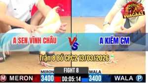 Trận 8 Bồ CPC2 13/3/2026 - Uá Siết Mấy Chân Đâm Điều Té Cắm Đầu Xách Đui Ra