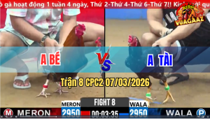 Trận 8 CPC 2 7/3/2026 - Bông Tướng Xấu Nhưng Đá Đâm Khủng Bố