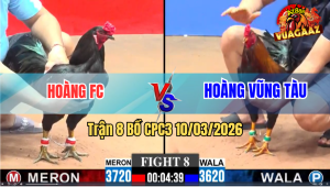 Trận 8 Bồ CPC3 10/3/2026 - Điều Châm Nhưng Đá Cựa Nghiệt Đâm Que Té Hết Cứu