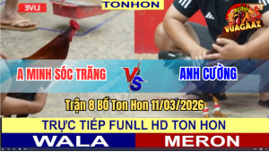 Trận 8 Bồ TonHon 11/3/2026 - Xanh Ra Chân Nhanh Gọn Đỏ Chết Tại Chỗ