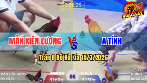 Trận 8 Bồ Xà Xía 15/3/2026 - Xanh Đá Đâm Như Chĩa Hạ Đỏ Quá Gọn