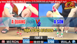 Trận 9 Bồ CPC2 4/3/2026 - Điều Đâm Cây Úa Lọt Té Hết Sửa