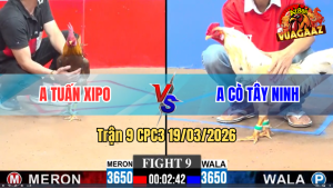 Trận 9 Bồ CPC3 19/3/3026 - Bướm Đâm Đầu Cần Khét Lì Đòn Đá Phản Lại Phút 90