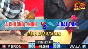 Trận 9 Bồ CPC3 5/3/2026 - Điều Nhanh Nhẹn Đá Úa Lọt Bỏ Chạy Bay Bồ