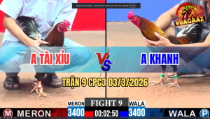 Trận 9 CPC3 03/3/2026 - Điều Bươi Chà Như Cái Máy Đâm Úa Té Tuyệt Đối