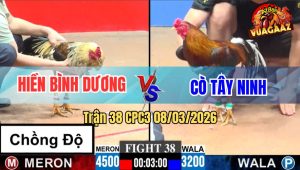 Trận 38 CPC3 07/03/2026