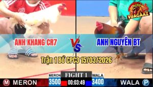 Trận 1 Bồ CPC3 15032026 - Bướm Siết Mấy Chân Đâm Điều Té Tại Chỗ
