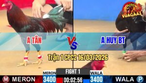 Trận 1 CPC2 16/03/2026 - Điều Đá Que Xách Xe Đi Cầm Bị Phản Phút 90