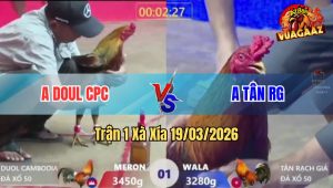 Trận 1 XÀ XÍA 19/03/2026 - Khét Cọp Idol Tân Siết Mấy Chân Đâm Điều Hết Đứng