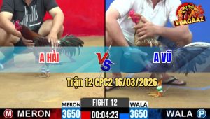 Trận 12 CPC2 16/03/2026 - Điều Đá Như Súng Băn Mấy Chân Đâm Xám Gãy Chân Oí