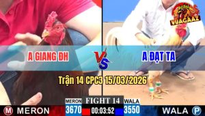 Trận 14 CPC3 15/03/2026 - Xanh Đá Đúng 1 Tay Nước Đâm Đỏ Bay Bồ