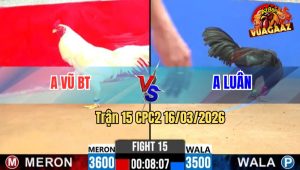 Trận 15 CPC2 16/03/2026 - Que Bươi Chà Như Cái Máy Đâm Úa Oí Chết Tại Chỗ