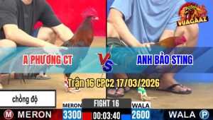 Trận 16 CPC2 17/03/2026 - Idol Chấp Ngông Buông Ra Đỏ Đá Hư Hình