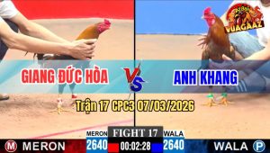 Trận 17 CPC3 07/03/2026
