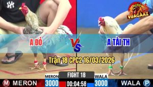 Trận 18 CPC2 16/03/2026 - Cú Dí Bạc Ăn 6 Bướm Chà Đá Bướm Oí Xong Bỏ Ô