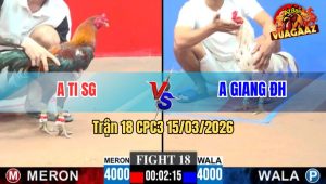 Trận 18 CPC3 15/03/2026 - Bướm Canh Chặn Đâm Điều Lật Xe Nhanh Lẹ