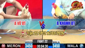 Trận 22 CPC2 16/03/2026 - Chuói Đá Cây Ngực Bướm Té Cắm Đầu