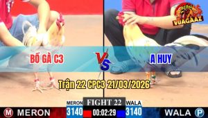 Tran 22 CPC3 21032026 Ga Xanh Ra Chan Mau Le Ha Do Quyet Doan