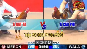 Tran 23 CPC3 21032026 Ga Khet Cao Phi Da Siet May Chan Qua Kheo Dieu Lat Xe Trong Tay Nuoc Dau