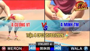 Trận 4 CPC3 15/03/2026 - Bướm Đá Lọt Cây Đâm Chuối Ngã Tuyệt Đối