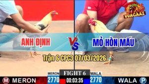 Trận 6 CPC3 07/03/2026