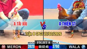 Trận 8 CPC3 15/03/2026 - Que Điềm Tĩnh Đá Bướm Xỉu Từ Từ