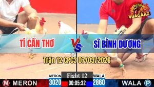 Trận 12 CPC3 07/03/2026