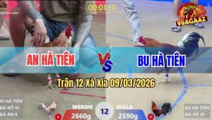 Trận 12 Xà Xía 09/03/2026